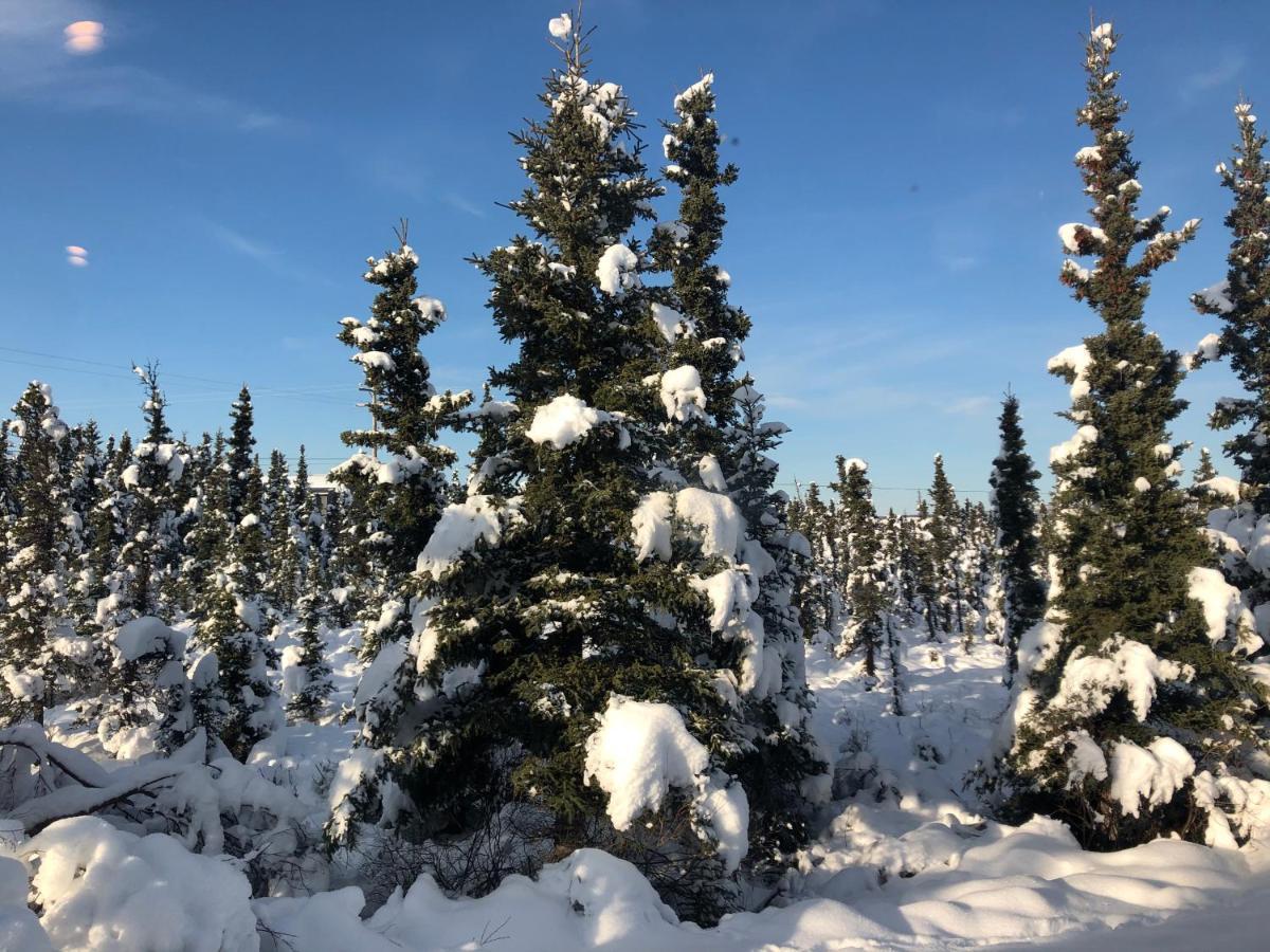 Aurora Denali Lodge Хілі Екстер'єр фото