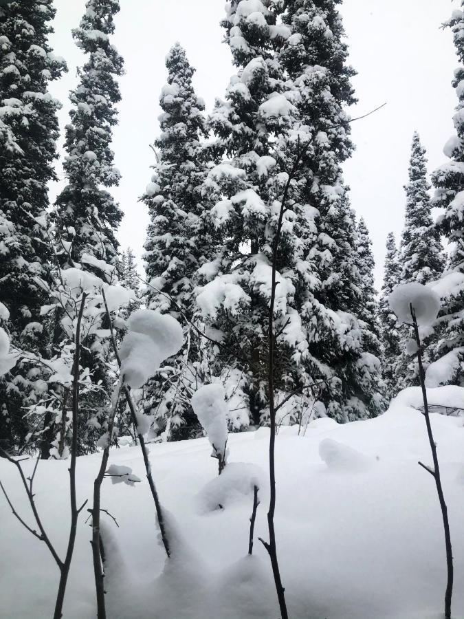Aurora Denali Lodge Хілі Екстер'єр фото