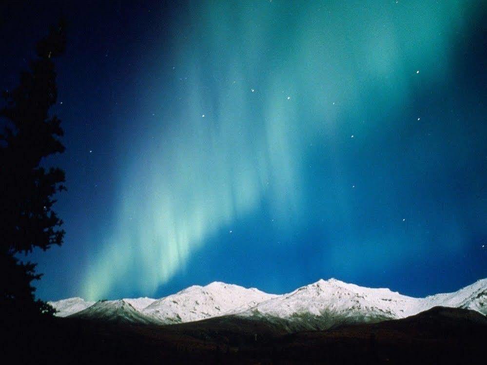 Aurora Denali Lodge Хілі Екстер'єр фото